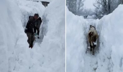 Tunceli’de kar kalınlığı insan boyunu aştı
