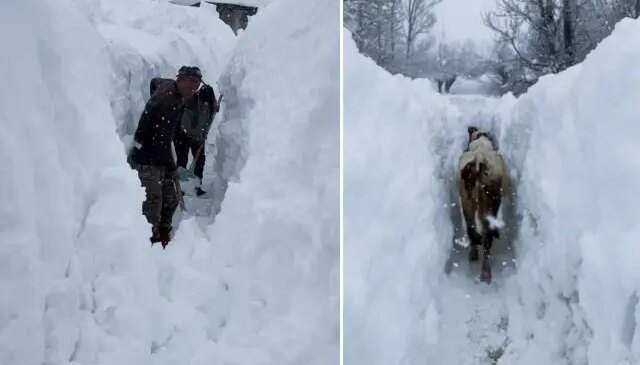 Tunceli’de kar kalınlığı insan boyunu aştı