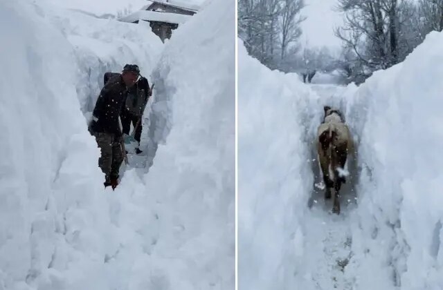 Tunceli’de kar kalınlığı insan boyunu aştı