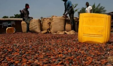 Türkiye yetiştirmediği kakaodan 1,7 milyar dolar kazandı