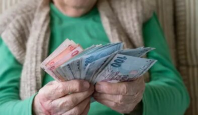 Vatandaşlık maaşında detaylar netleşti! İşte yardım yapılacak kalemler