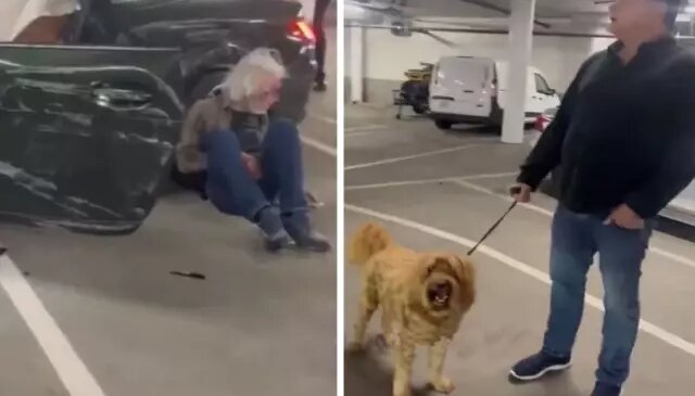 Yaşlı adamın yaptığı hem köpeğin hem de sahibinin ağızlarını açık bıraktı