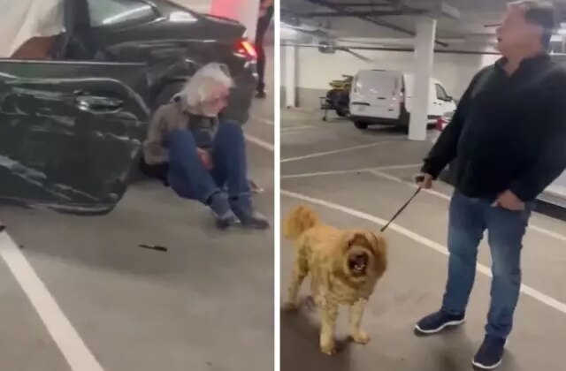Yaşlı adamın yaptığı hem köpeğin hem de sahibinin ağızlarını açık bıraktı