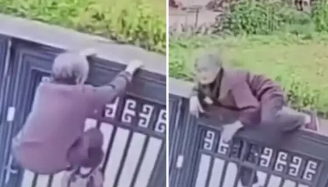 Yaşlı kadın, 2 metrelik duvardan tek hamleden atladı