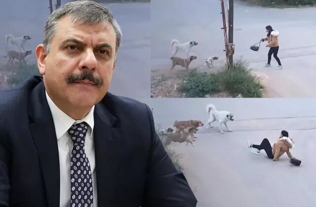 Yeni İçişleri Bakanı Mustafa Çiftçi’nin sokak köpekleri konusunda tavrı net