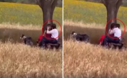 Yer: Adana! Vatandaşlar öpüşme sahnesine kayıtsız kalamadı: Günah günah