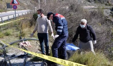 Bahçe sulamaya giden çiftçiler korkunç manzarayla karşılaştı