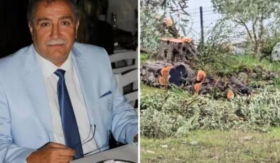 Zeytin ağaçlarını kesen ve görevinden istifa eden Kılbey’e para cezası
