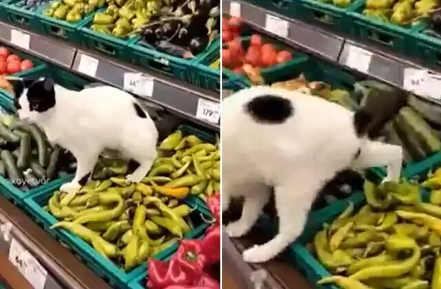 Zincir markette hijyen skandalı: İşedi resmen