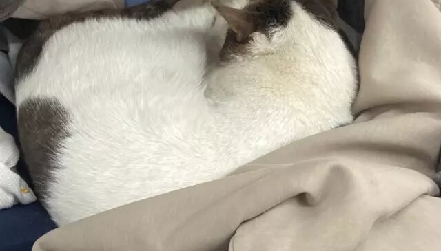 Zincir marketteki skandal görüntülerin ardı arkası kesilmiyor