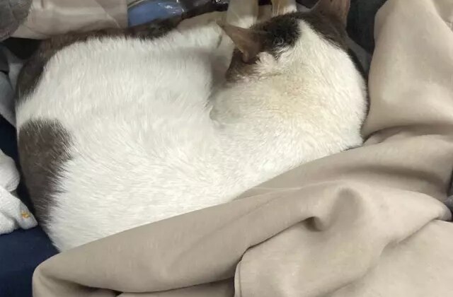 Zincir marketteki skandal görüntülerin ardı arkası kesilmiyor