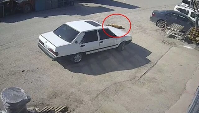 Allah ıslah etsin! Mübarek Ramazan günü kaydedilen görüntüye bakın