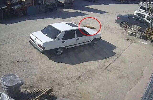 Allah ıslah etsin! Mübarek Ramazan günü kaydedilen görüntüye bakın