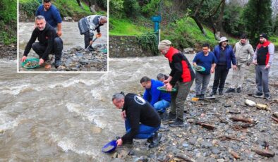 Dere yatağında ortaya çıkıyor, eline tasını alan avuç avuç topluyor