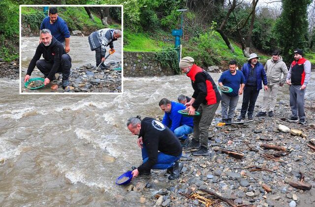 Dere yatağında ortaya çıkıyor, eline tasını alan avuç avuç topluyor