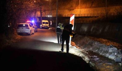 Alzheimer hastası yaşlı adam Harşit Çayı’nda ölü bulundu