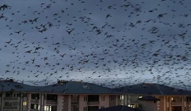 Görüntüler doğudaki ilimizden! Şehri istila ettiler