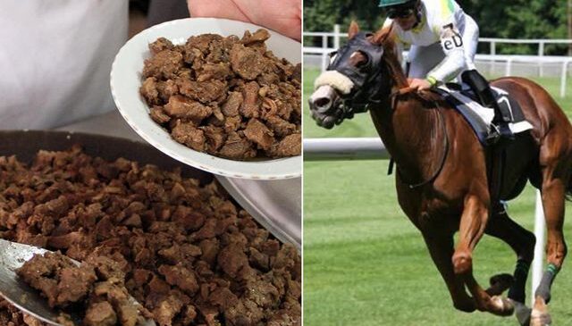 Kavurma yapılan atın sahibine ceza! Sorumsuzluğu affedilmedi