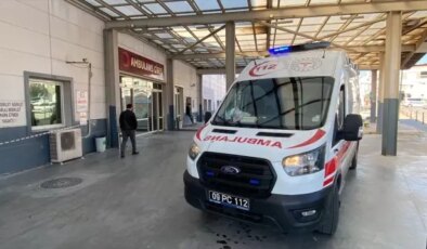 Aydın’da erkek arkadaşı tarafından bıçaklanan kadın hayatını kaybetti