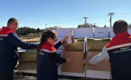 Baklavada kullanılacak kanserojen maddeli 2 ton fıstık ele geçirildi