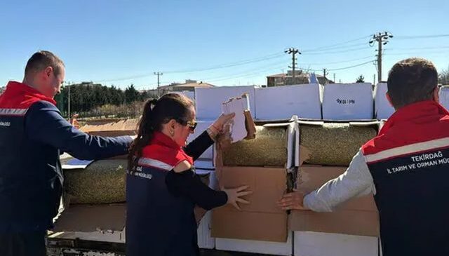 Baklavada kullanılacak kanserojen maddeli 2 ton fıstık ele geçirildi