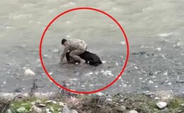 Başrolde polis memuru var: Siirt’te çekilen görüntü Türkiye gündemine oturdu