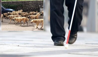Belediye başkan yardımcısından görme engelli vatandaşa şok cevap