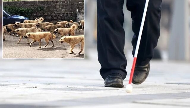 Belediye başkan yardımcısından görme engelli vatandaşa şok cevap