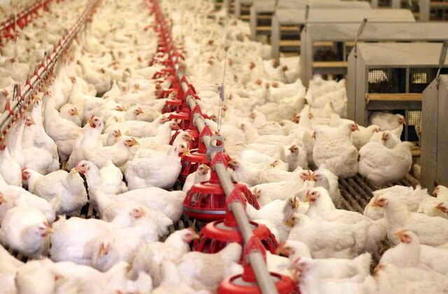 Bir dönemin ihracat şampiyonuydu: 40 yıllık marka icradan satışa çıkarıldı