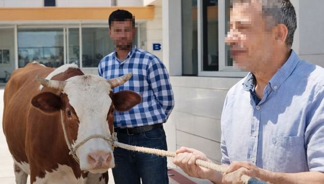 Bomba iddia: Belediye başkanının özel kalemi vatandaşı dolandırdı