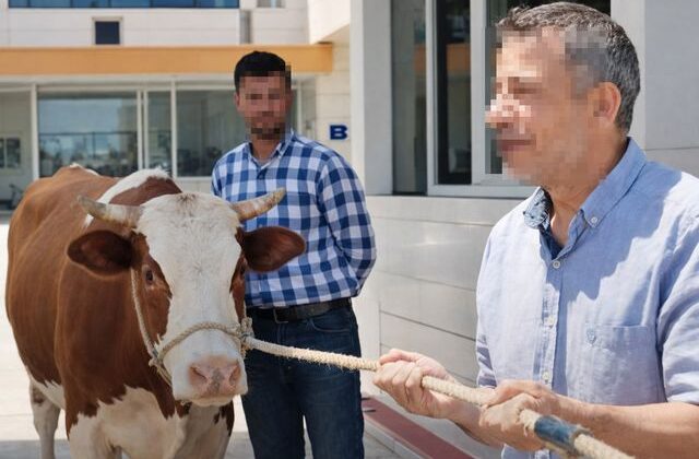 Bomba iddia: Belediye başkanının özel kalemi vatandaşı dolandırdı