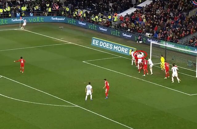 Bosna Hersek için Dünya Kupası umutları bitti derken Dzeko sahneye çıktı