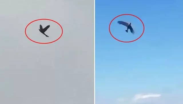 ABD’nin kabusu olacak! Hepsiyle savaşmak zorunda kalabilirler