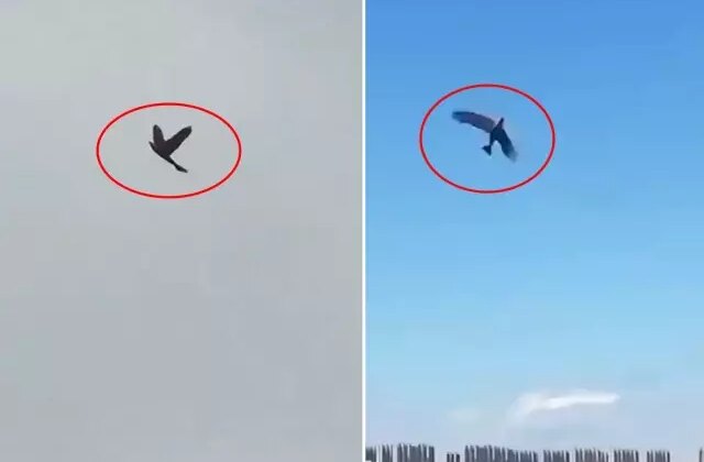 ABD’nin kabusu olacak! Hepsiyle savaşmak zorunda kalabilirler