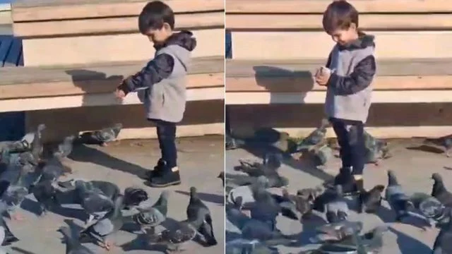 Çöp kamyonunun altında kalıp ölen Serhat’ın son görüntüleri ortaya çıktı