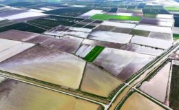 Çukurova’yı yağmur vurdu: Tarım arazileri sular altında