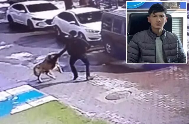 Daha 16 yaşındaydı! Köpekten kaçarken canından oldu