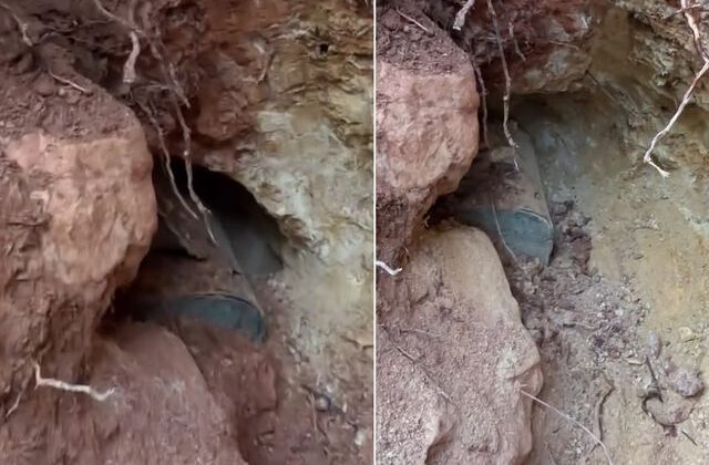 Define kazısı yaptı, çıkanı görünce sevinçten havaya uçtu