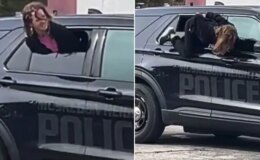 Elleri kelepçeli halde polis aracından böyle firar etti