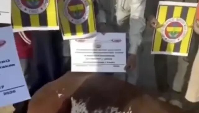Fenerbahçe taraftarı Afrika’da kurban kestirdi