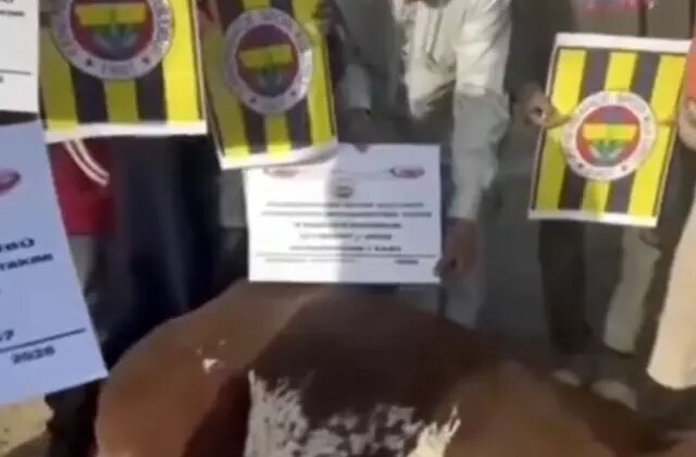 Fenerbahçe taraftarı Afrika’da kurban kestirdi