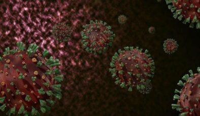 Gana’da M çiçeği salgını! 1000’den fazla vaka görüldü, 8 kişi hayatını kaybetti