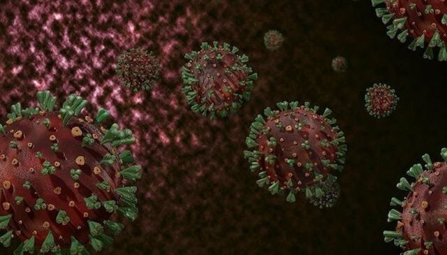 Gana’da M çiçeği salgını! 1000’den fazla vaka görüldü, 8 kişi hayatını kaybetti