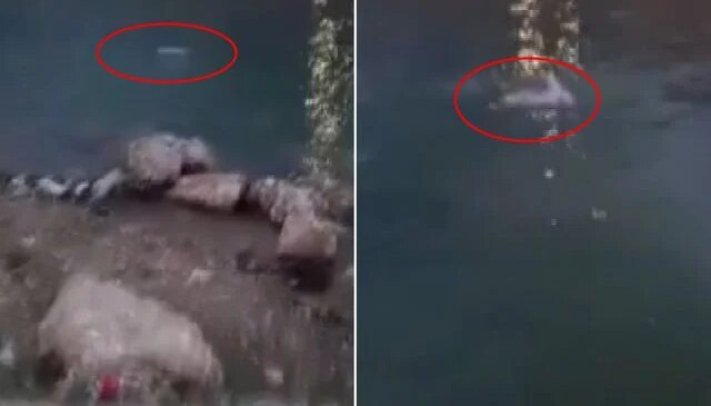 İnsanlık ölmüş dedirten görüntü: Ya bırak, sabaha kadar polise ifade verirsin