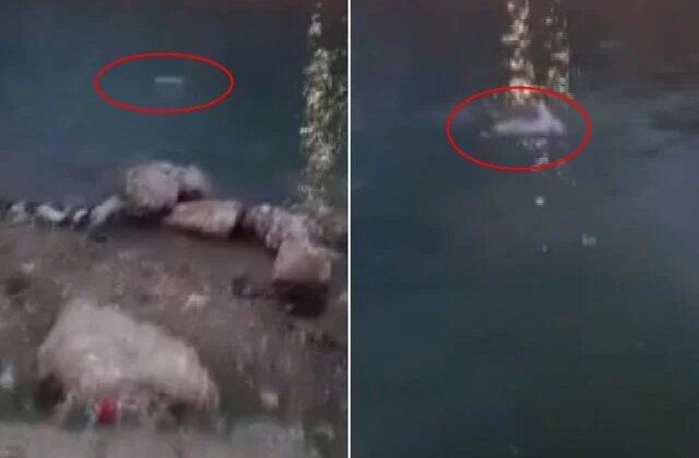 İnsanlık ölmüş dedirten görüntü: Ya bırak, sabaha kadar polise ifade verirsin