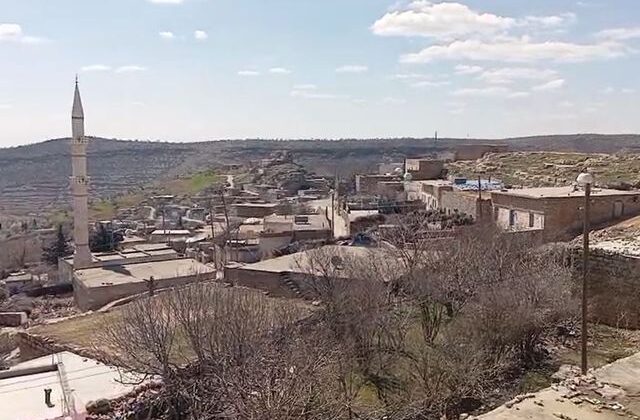 İnekteki kuduz şüphesi nedeniyle mahalle karantinaya alındı