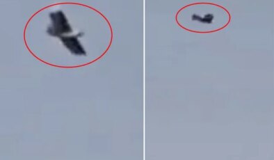 İran üzerinde kuş görünümlü insansız hava aracı görüntülendi