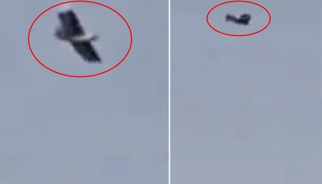 İran üzerinde kuş görünümlü insansız hava aracı görüntülendi