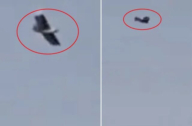 İran üzerinde kuş görünümlü insansız hava aracı görüntülendi