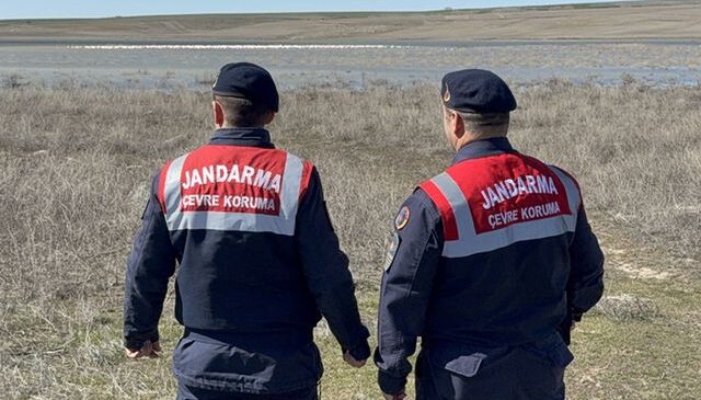 Jandarma flamingolar için 24 saat mesaide